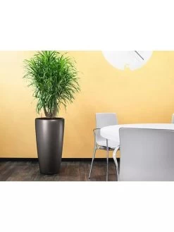 Lechuza® Rondo Self-Watering Planters -Outdoor Garden Care Shop 8594586 02V tif