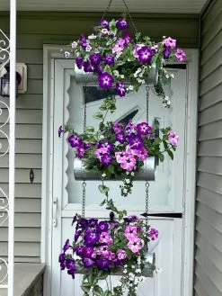 Galvanized Hanging Triple Planter 13 Galvanized Hanging Triple Planter -Outdoor Garden Care Shop 8595213 02CUST tif