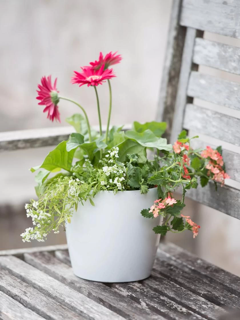 Viva Round Self-Watering Planter, 7" Diameter 6 Viva Round Self-Watering Planter, 7" Diameter - Image 4