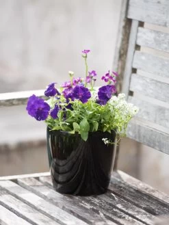 Viva Round Self-Watering Planter, 7" Diameter 11 Viva Round Self-Watering Planter, 7" Diameter -Outdoor Garden Care Shop 8595222 1140 tif