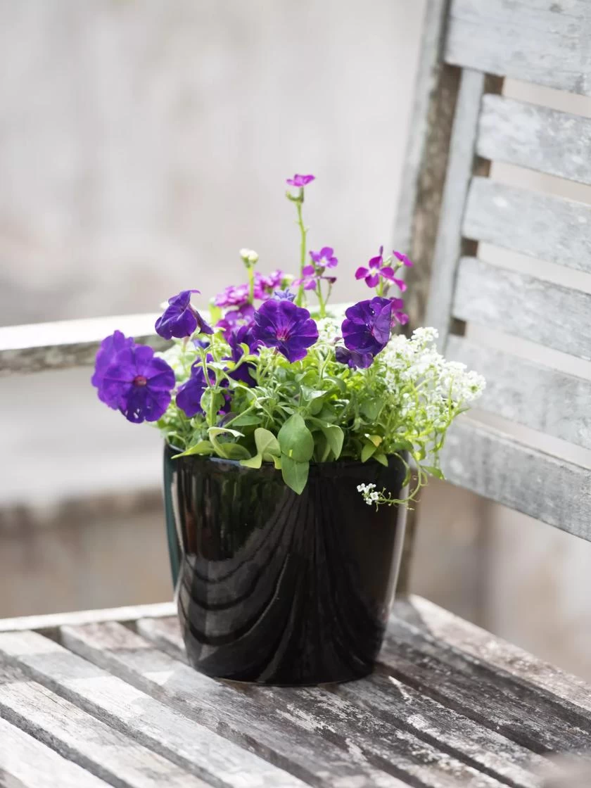 Viva Round Self-Watering Planter, 7" Diameter 7 Viva Round Self-Watering Planter, 7" Diameter - Image 5