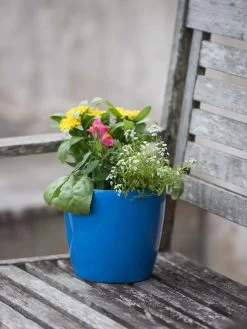 Viva Round Self-Watering Planter, 7" Diameter 9 Viva Round Self-Watering Planter, 7" Diameter -Outdoor Garden Care Shop 8595222 1143 tif