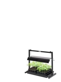 LED SunLite® Compact Tabletop Garden 9 LED SunLite® Compact Tabletop Garden -Outdoor Garden Care Shop 8595555 10136 tif