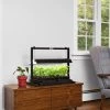 LED SunLite® Compact Tabletop Garden -Outdoor Garden Care Shop 8595555 101 small led grow lights sunlite compact tabletop garden tif