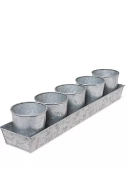 Galvanized Herb Planters With Rectangular Tray -Outdoor Garden Care Shop 8595903 3924 tif