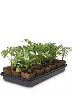 3-1/2” Square Biodegradable Pots & Tray Set -Outdoor Garden Care Shop 8595968 3916 tif