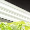 LED SunLite® High Intensity Fixture 2 LED SunLite® High Intensity Fixture -Outdoor Garden Care Shop 8596021 3125 tif