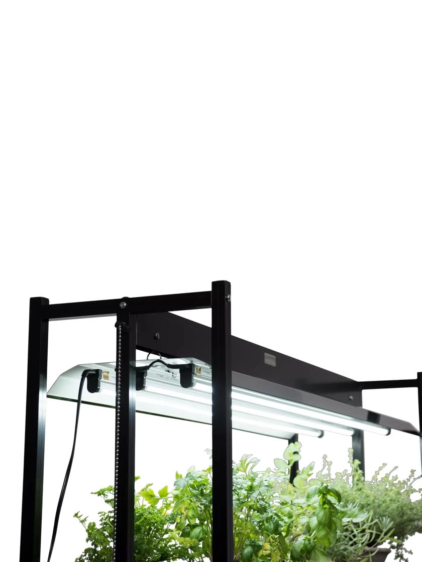 LED SunLite® High Intensity Fixture 4 LED SunLite® High Intensity Fixture - Image 2