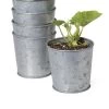 Galvanized Planting Cups, Set Of 5 -Outdoor Garden Care Shop 8596104 9899 tif