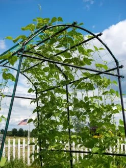 Titan Squash Tunnel 19 Titan Squash Tunnel -Outdoor Garden Care Shop 8596276 0122 tif