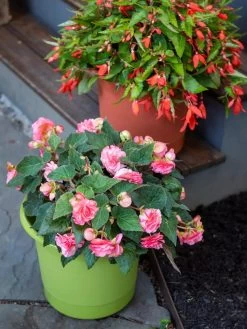 Eezy Gro Self-Watering Planters 11 Eezy Gro Self-Watering Planters -Outdoor Garden Care Shop 8596427 0034 tif