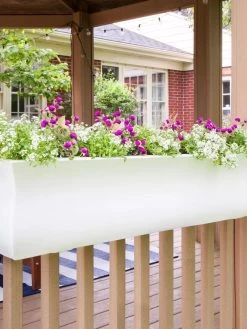 Valencia Window Box, 4' 11 Valencia Window Box, 4' -Outdoor Garden Care Shop 8596437 006V tif