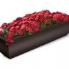 Valencia Window Box, 4' 1 Valencia Window Box, 4' -Outdoor Garden Care Shop 8596437 10V tif