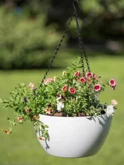 Viva Self-Watering Hanging Basket, 14" Diameter -Outdoor Garden Care Shop 8596442 0864 tif