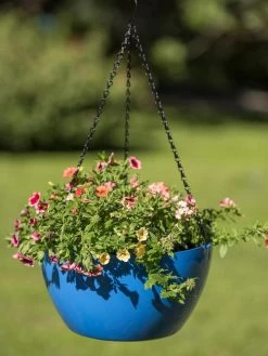 Viva Self-Watering Hanging Basket, 14" Diameter -Outdoor Garden Care Shop 8596442 0876 tif