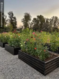 Gardener’s Exterior Wood Stain, 1 Quart -Outdoor Garden Care Shop 8596700 02IN