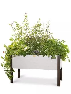 Eco-Stained Elevated Planter Box, 2'x4' 15 Eco-Stained Elevated Planter Box, 2'x4' -Outdoor Garden Care Shop 8596759 3837 tif