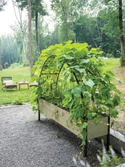 Self-Watering Elevated Planter Box, 2' X 8' -Outdoor Garden Care Shop 8596760 0046 tif