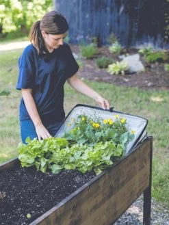 Pop-Up Crop Protector -Outdoor Garden Care Shop 8596763 EasyCropProtector gif