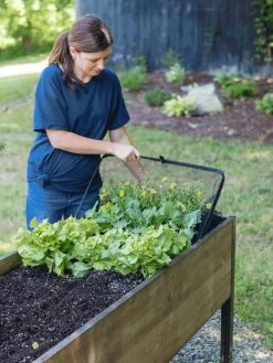 Pop-Up Bird Netting -Outdoor Garden Care Shop 8596764 PopUpBirdNetting gif