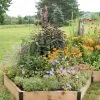 Pollinator Garden Bed -Outdoor Garden Care Shop 8597000 4103 tif