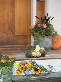 Galvanized Rim Planters -Outdoor Garden Care Shop 8597379 1625 tif