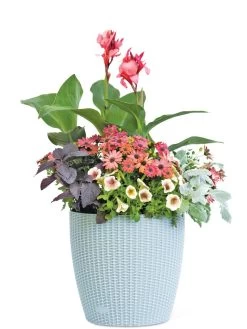 Weave Self-Watering Round Planter, 14" -Outdoor Garden Care Shop 8597388 2175 tif