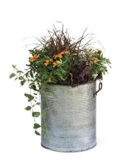 Galvanized Rim Planters -Outdoor Garden Care Shop 8597443 1704 tif