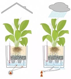 Lechuza® Cube Premium Planters 11 Lechuza® Cube Premium Planters -Outdoor Garden Care Shop 8597506 05V tif