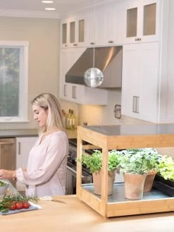 Low Bamboo LED Grow Light Garden -Outdoor Garden Care Shop 8597720 0816 tif