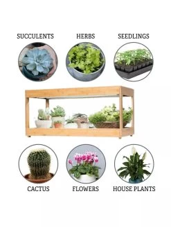 Low Bamboo LED Grow Light Garden -Outdoor Garden Care Shop 8597720 3