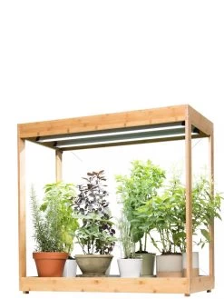 Medium Bamboo LED Grow Light Garden 27 Medium Bamboo LED Grow Light Garden -Outdoor Garden Care Shop 8597883 1011 tif