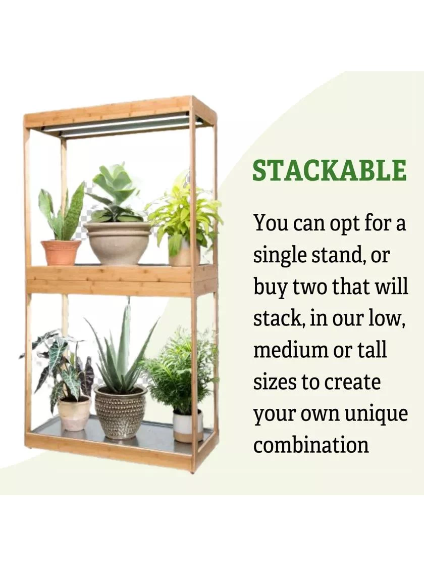 Medium Bamboo LED Grow Light Garden 7 Medium Bamboo LED Grow Light Garden - Image 5