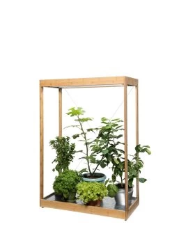 Tall Bamboo LED Grow Light Garden -Outdoor Garden Care Shop 8597884 7103 tif