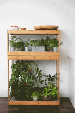 Bamboo Home LED Grow Light Garden 18 Bamboo Home LED Grow Light Garden -Outdoor Garden Care Shop 8598088 BambooLEDHomeGarden light gif