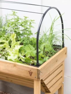 VegTrug® Mini Wallhugger Planter With Cover 10 VegTrug® Mini Wallhugger Planter With Cover -Outdoor Garden Care Shop 8598339 4004 tif