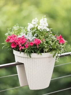 Weave Round Railing Planter, 11" 8 Weave Round Railing Planter, 11" -Outdoor Garden Care Shop 8598370 8580 tif