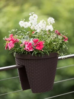 Weave Round Railing Planter, 11" 9 Weave Round Railing Planter, 11" -Outdoor Garden Care Shop 8598370 8584 tif