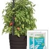 Gardenerās Victory Self-Watering Planter Garden Kit 1 Gardenerās Victory Self-Watering Planter Garden Kit -Outdoor Garden Care Shop 8598389 5000 tif