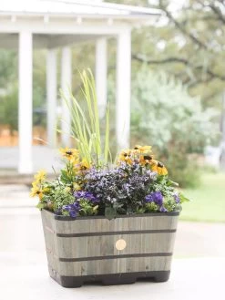 VegTrug™ Trough Planters -Outdoor Garden Care Shop 8598403 08876 tif