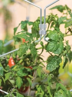 Gardener's Vertex Lifetime Tomato Cage 10 Gardener's Vertex Lifetime Tomato Cage -Outdoor Garden Care Shop 8598426 0011 tif