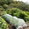 Insect Protection Tunnel -Outdoor Garden Care Shop 8598536 8225 tif