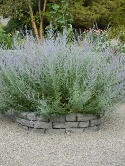 Rock Lock Interlocking Garden System, Curved Sets -Outdoor Garden Care Shop 8598737 04V tif