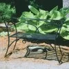 Achla Designs Wrought Iron Arbor Bench With Back 2 Achla Designs Wrought Iron Arbor Bench With Back -Outdoor Garden Care Shop 8598749 01V tif
