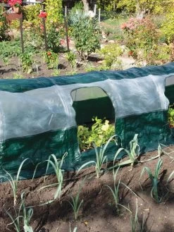 Super Dome Protection Tunnel