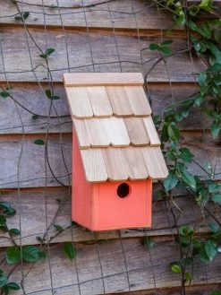 Heartwood Fruit Coops Bird House 11 Heartwood Fruit Coops Bird House -Outdoor Garden Care Shop 8598856 04v