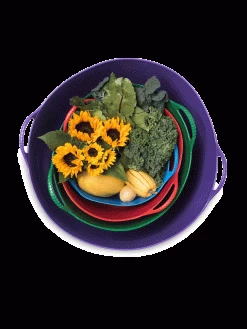 Colorful Tubtrug, 7 Gallon 7 Colorful Tubtrug, 7 Gallon -Outdoor Garden Care Shop 8599088 20GalTubTrug gif