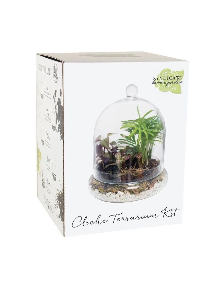Cloche Terrarium Kit Medium 5 Cloche Terrarium Kit Medium - Image 3