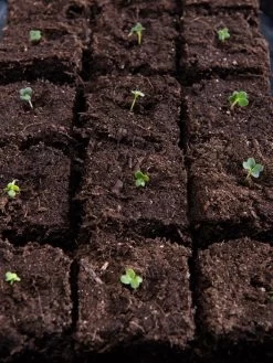 Vermont Compost Company Fort Vee™ Potting Mix, 20 Quarts 14 Vermont Compost Company Fort Vee™ Potting Mix, 20 Quarts -Outdoor Garden Care Shop 8599281 5930