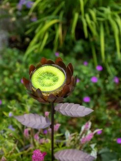Dahlia Butterfly Feeder -Outdoor Garden Care Shop 8599369 683 tif